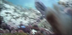 Después de haber caído rendido ante sus 85 maravillosos minutos de metraje, y tras haber llorado a lágrima viva con su atípica relación de amistad entre un octópodo y un ser humano, puedo afirmar sin miedo a equivocarme que 'Lo que el pulpo me enseñó' es un documental destinado a romper cualquier prejuicio frente a la no ficción centrada en el mundo de la naturaleza; todo ello a base de ternura, encanto y una narrativa casi perfecta y digna de Óscar. Puedes verlo en Netflix. | Espinof