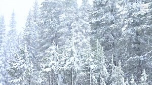 31K views · 217 reactions | Last month, we saw 5 named storms. On average, August sees three times more named storms than July. Besides hurricanes (and the obvious heat), August experiences much more weather than you'd think ⬇️ | The Weather Channel | Facebook