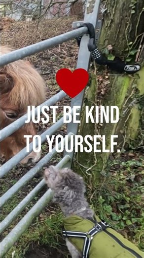 When social stuff feels a bit overwhelming