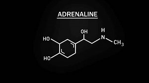 Adrenaline or Epinephrine Molecular Structure Symbol Sketch or Drawing Animation on Black Background and Green Screen