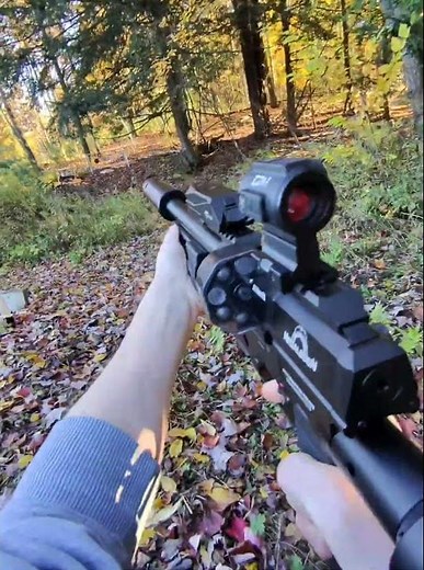 AEA Megalodon pump action airgun (speed shooting )