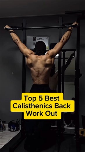 top 5 best calisthenics back workout