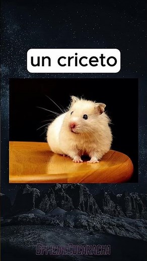 Quanto tempo gli animali trattengono la pipì #shorts