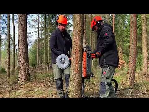 Tree Climbing Machine: Fast & Efficient Branch Trimmer 🌳✂️ || 🌐 1008 Wonders