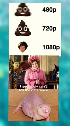 480p vs 1080p: The Umbridge Edition 💀 #harrypotter #shorts #memes