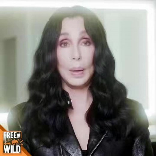 Cher's Appeal to Relocate Animals from Pata Zoo