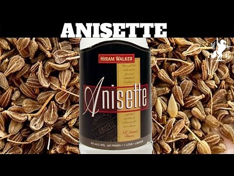 Hiram Walker Anisette Liqueur Review