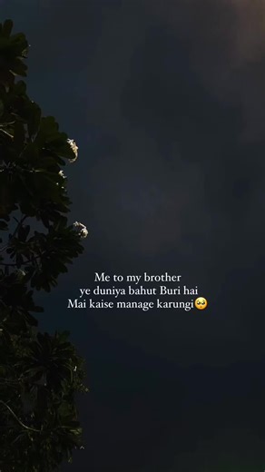 brother are the most precious gift from the god and i can proudly say that have got best brother❤️❤️🫶🫶♥️♥️#foryoupage #foryou