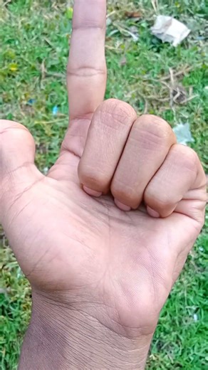 Beautiful Centipede and Cockroach #jwildlifetv