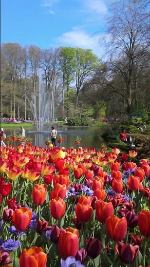 Keukenhof Wonder Gardens 2025