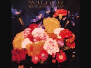 The Teardrop Explodes - ...And The Fighting Takes Over