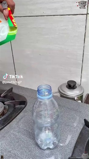 Gender Reveal Story: A Heartfelt Family Moment