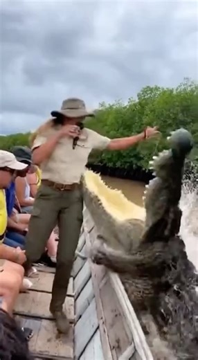 Giant Crocodile Jumps Onto Tourist Boat 😱🐊
