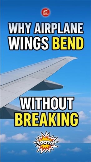 Why Airplane Wings Bend Without Breaking