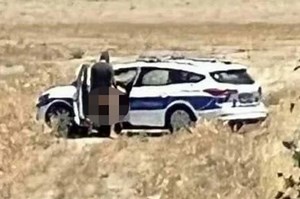 Shock moment two brazen cops are caught romping in field against police car
