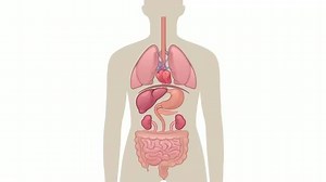93K views · 1.6K reactions | Benefits Of Fasting in Ramadan. | Ask A Muslim | Facebook