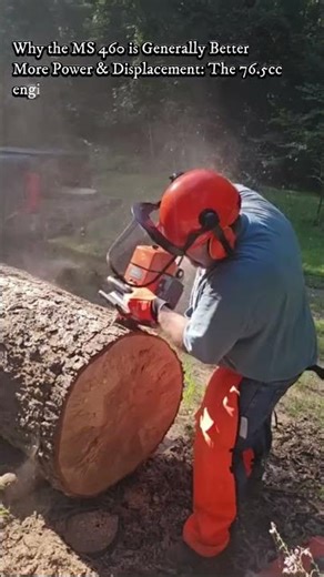 The better pro chainsaw. Ms 380 vs Ms 460.