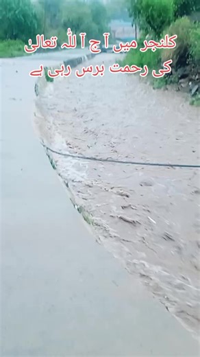 plz for you page deute my video