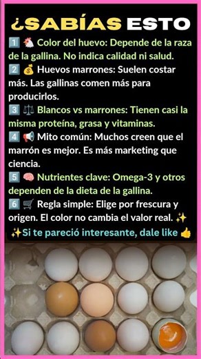 ¿SABÍAS ESTO? Huevos Blancos vs Marrones: La Verdad que Nadie Te Dice 🥚🤯