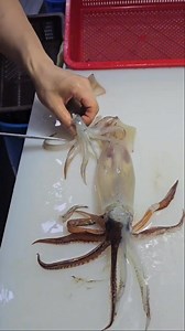 115K views · 520 reactions | How to Change the color of the Squid 撚 turns into white! #fishing #fishinglife #squid | James Pelarios | Facebook