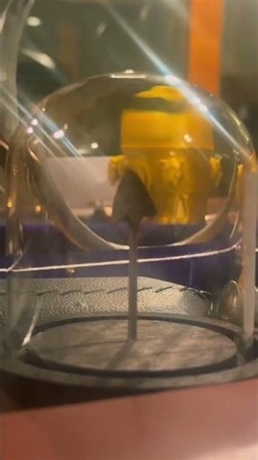 Incredible 4000 Year Old Neolithic Arrow Head #shorts