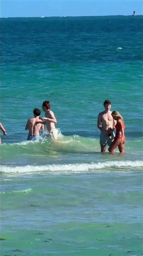 🇺🇸 Miami Beach a Sunny Day