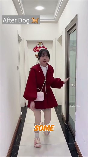 What did the dog do inside the room?