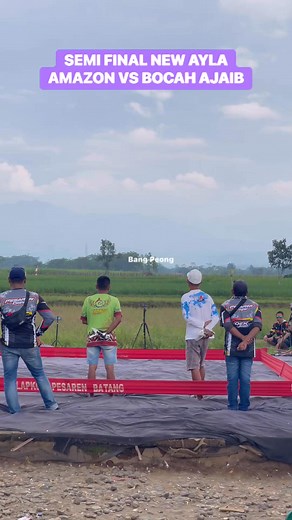 1.1K views · 1.2K reactions | SEMI FINAL AMAZON TALINDO VS BOCAH AJAIB BINTANG UTARA‼️EVENT NEW AYLA LAPAK PESAREN BATANG #BANGPEONG #EVENTNEWAYLA #LOMBAMERPATIKOLONGBEBAS #MERPATIVIRAL #PESARENBATANG | Bang Peong | Facebook