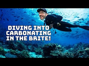 How To Carbonate A Beer In The Brite Tank