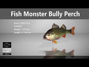 Fishing Planet, Fish Monster Mission, Lesni Vila Bully Perch, Northern Pike, LEVEL 4 Gear Guide