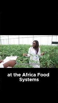 Liberia's Bold $900 Million Plan to Transform Agriculture And End Hunger