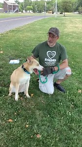 3.8K views · 86 reactions | Meet Cookie! This beautiful girl is...