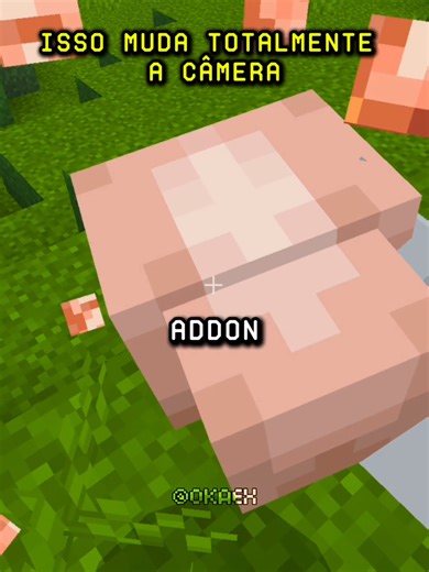 Bedrock Edition First-Person Model Features