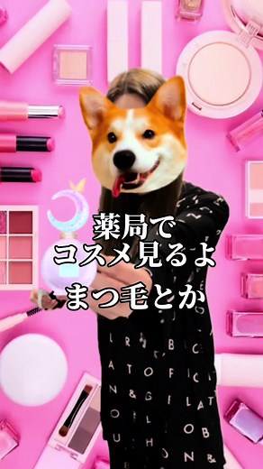 薬局でのコスメ購入品紹介とKALDI探訪