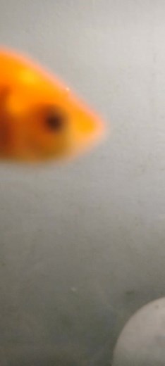 Ummm 類樂 | Moisture Mold Insulation | Facebook