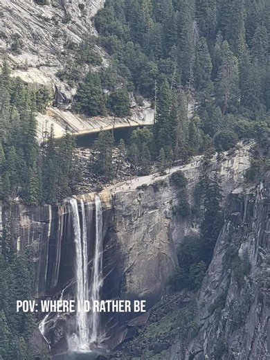 why stay in one place 🌳🧳⛰️ #travel #trees #hiking #nationalpark #fyp