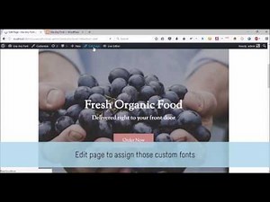 Use Any Font : Custom Fonts in Site Origin Page Builder