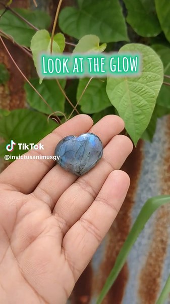 Labradorite isn’t just a pretty rock—it’s basically the ✨ main character ✨ of the crystal world. Known for its insane color shifts (aka labradorescence), this gem is all about boosting intuition, blocking bad vibes, and unlocking your inner ✨ mystical baddie ✨. Think of it as your personal energy shield, but make it aesthetic. Who else is obsessed? 👀💙⚡️ $4,000 Available for pick up at the Collage store or delivery 🚚 ☎️ 6372802 #guyana🇬🇾 #foryou #fyp