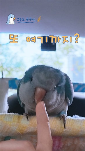 이번에도 위치가 살짝...😅#오늘도 꾸꾸야