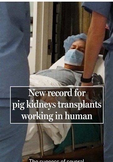 Advancements in Xenotransplantation Using Genetically Engineered Pigs