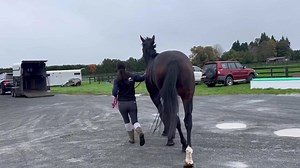 Stretch - checking for straightness, as requested…. | EventStars Ltd