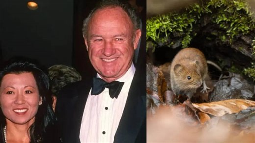 Hantavirus Pulmonary Syndrome: Virus That Killed Gene Hackman's Wife Causes 3 More Deaths; Know the Symptoms