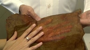 Startup de biotecnologia produz tecido para roupas feito a partir de bactérias