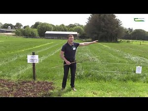 David Wall, Teagasc at DairyBEEF2019