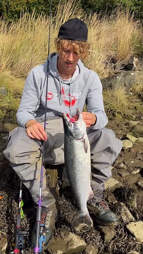 5.1K views · 1.4K reactions | Wild and hatchery A-run coastal coho...