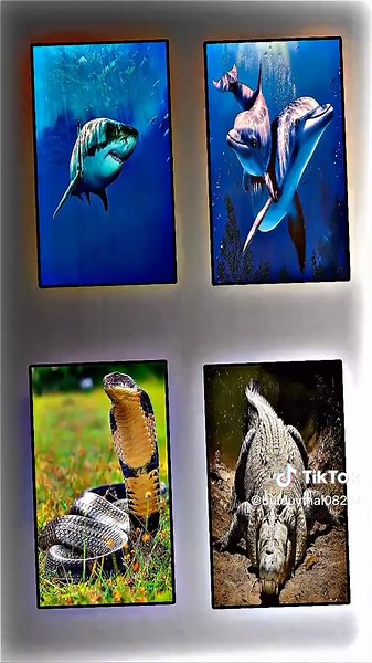 Sự khác biệt giữa Con Cháu và Tổ Tiên và nếu chúng còn tồn tại thì sẽ ra sao🔥#fyp #xuhuong #edit