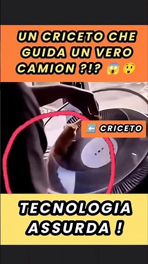 Un CRICETO guida un VERO CAMION da 15 tonnellate?! 🐹🚛 #scienza #tecnologia