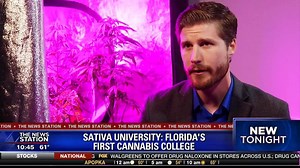497K views · 3.9K reactions |  [FOX News: Florida Cannabis College]  ✔️ Online Classes Starting at $49 ✔️ Hands On Training Starting at $299 Google "Learn Sativa" for more information | LearnSativa.org | Facebook