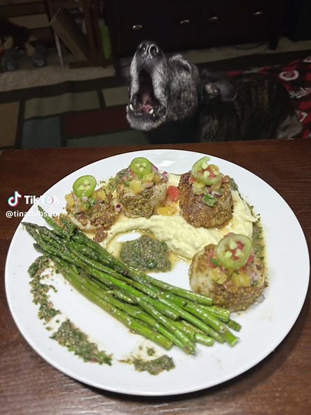 Thought I’d work on a future MasterChef application (or just make a special dinner for my husband)… plating could use some edits, but Chef @Gordon Ramsay, tonight’s dish is pistachio-crusted scallops with winter citrus salsa, parsnip purée and asparagus with chimichurri drizzle. I’d omit the drizzle and add more sliced jalapeños to counterbalance the sweet parsnips. #crumbsforgypsie #cheftina #souschefrobbie #hexclad #masterchef #foodies