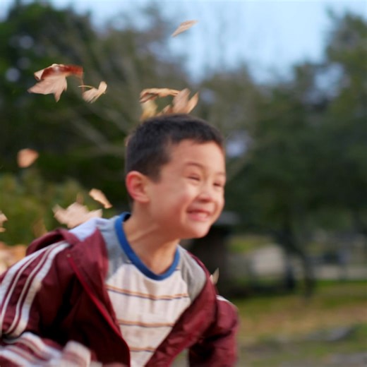 Nellie’s Free Range eggs come from healthy hens raised on family farms with plenty of room to roam outdoors under sunny skies. | Nellie's Free Range